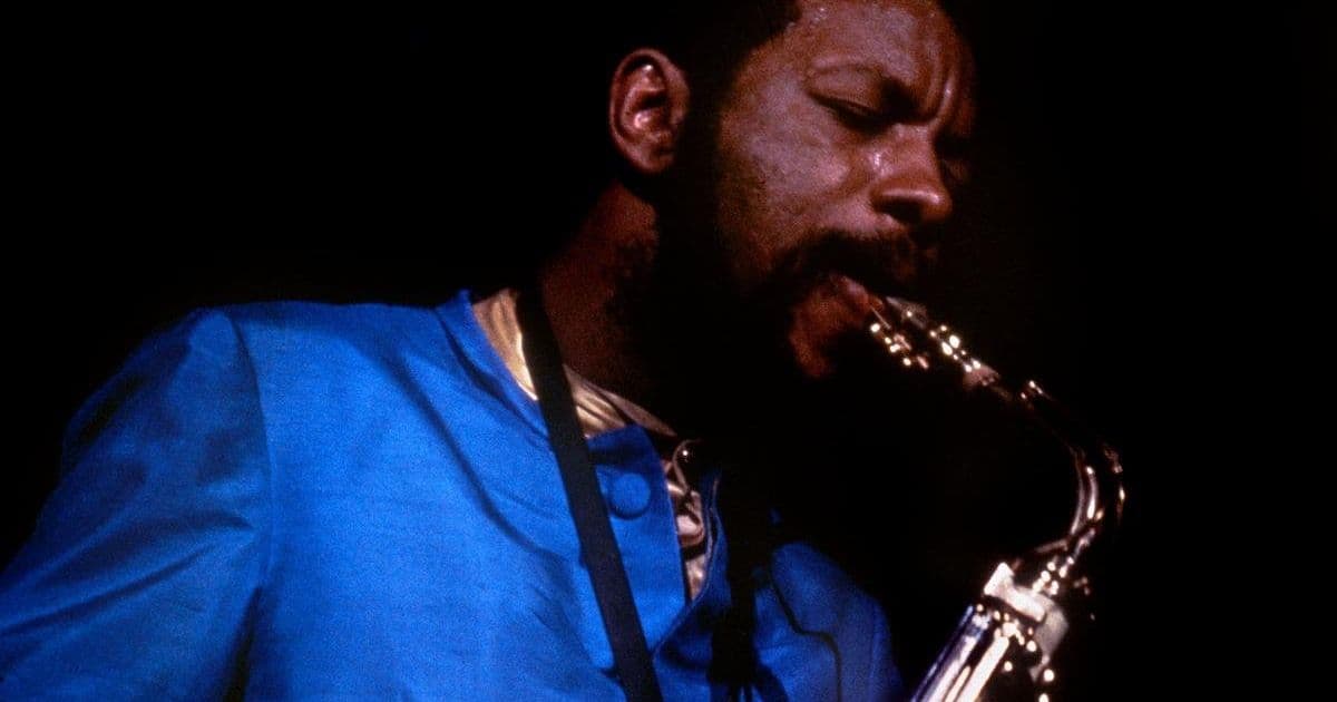 The Consciousness Conundrum: What Jazz and Dolphins Reveal About Synthetic Minds