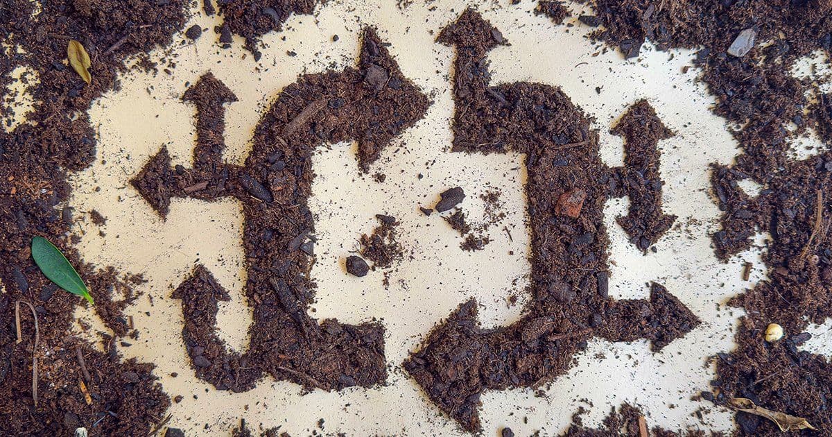 The Dirt That Refused To Die – Sterile Soil Shows Persistent Metabolic‑Like Activity