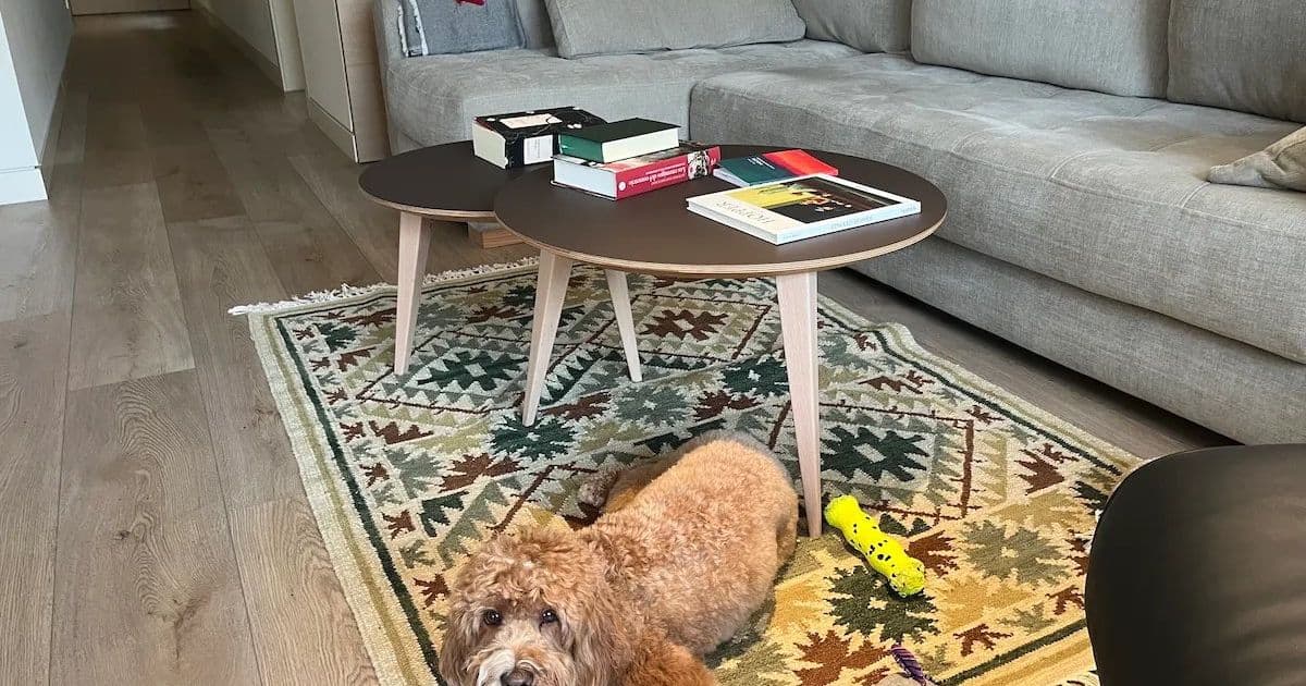 The Hidden Cost of Convenience: How Amazon's Print-on-Demand Books Are Reshaping the Publishing Industry