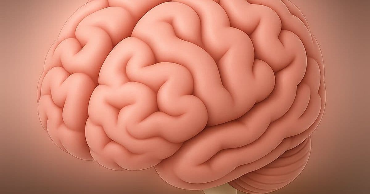 The Great Platform Exodus: Media and Commerce Flee Algorithmic Uncertainty for Owned Ecosystems