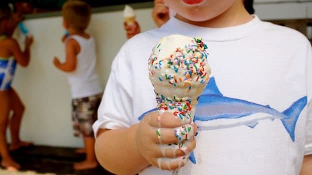 The Material Science Behind Melt-Resistant Ice Cream: Polyphenols Rewrite Dessert Physics