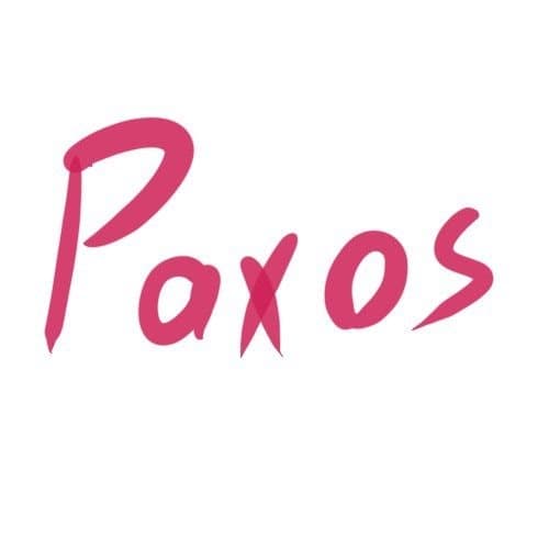 Demystifying Paxos: When Consensus Algorithms Reveal Hidden Simplicity