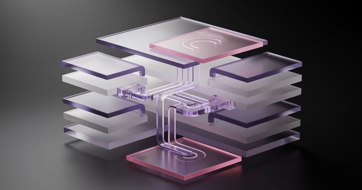 Structural Confusion: The Hidden Barrier in Backend Development Education