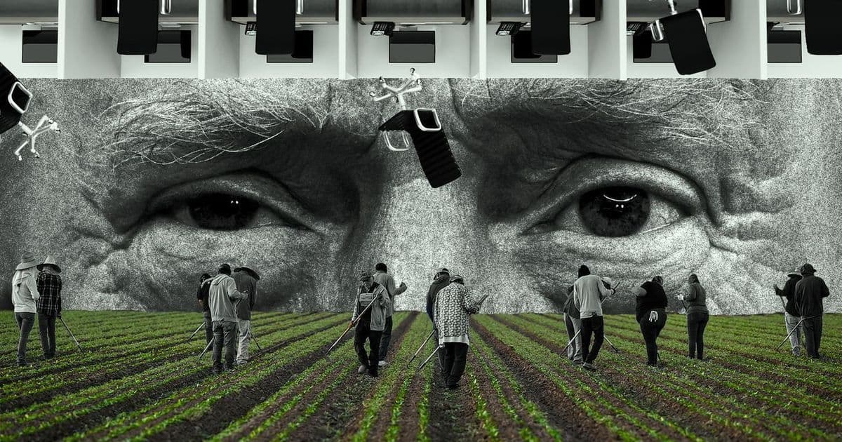 The surprise winners of Trump's immigration wars