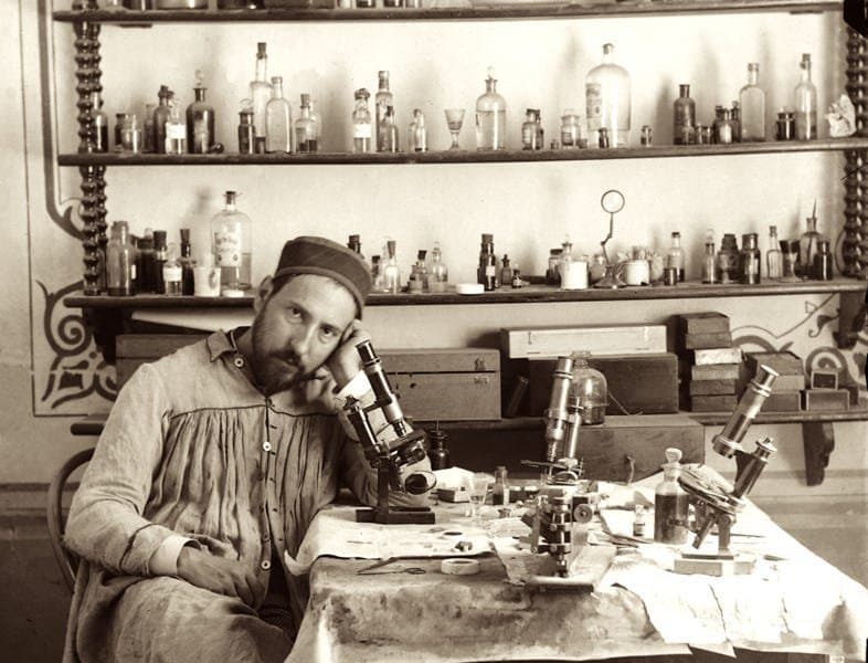 The Uncharted Terrain: Why the Human Brain Remains a Mystery Even as AI Mimics Cognition