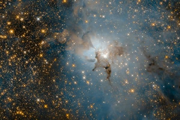 Vera C. Rubin Observatory image reveals more than 500,000 galaxies