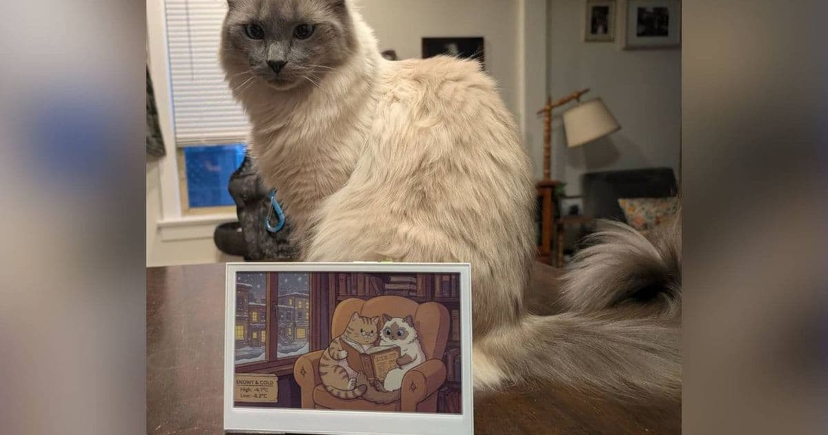 This ESP32 Home Assistant Project Delivers Adorable Weather Forecasts