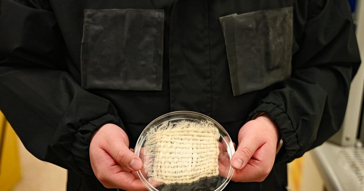 UT Austin's Water-Harvesting Jacket Asks a Quiet Question: What If the Device Disappears?
