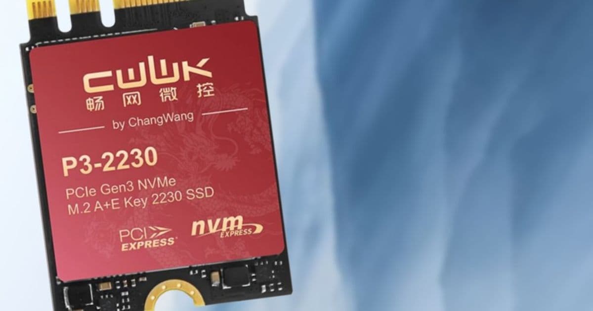 CWWK/Oaknode P3‑2230 (2230 NVMe) – A Niche Slot Gets a Premium SSD, but at a Premium Price