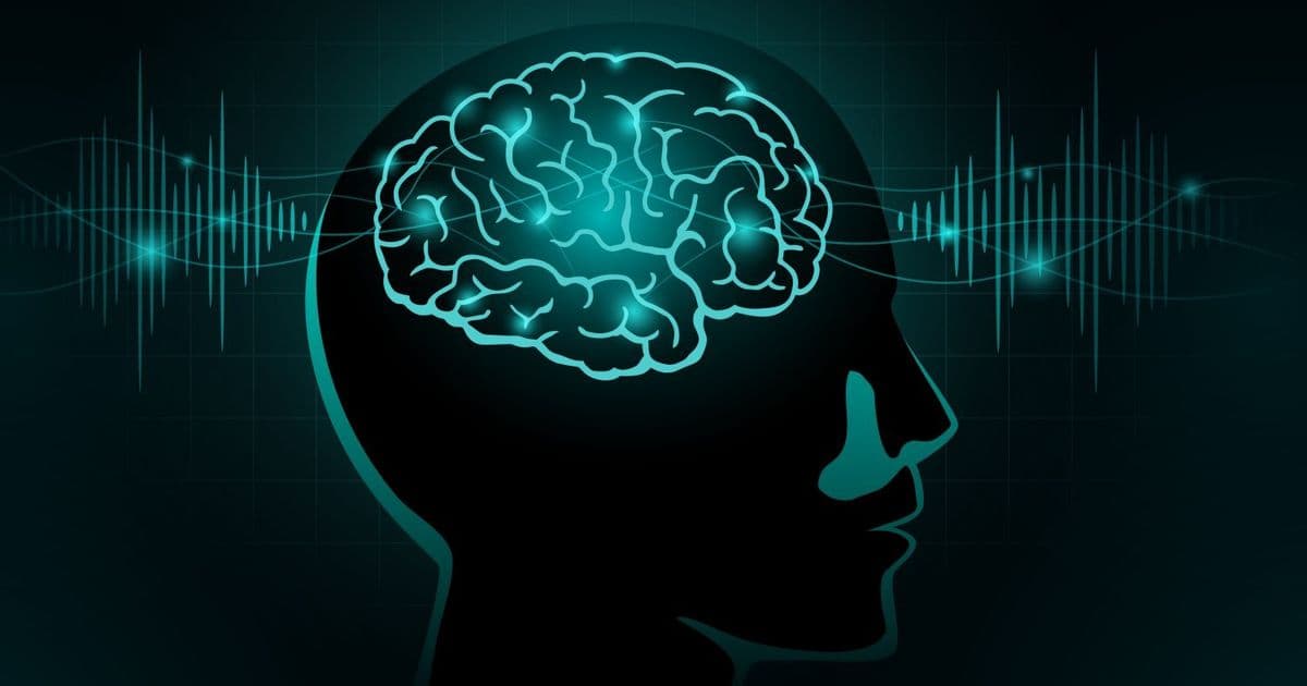 Brain Waves Organize Neural Task Forces for Flexible Cognition, Study Confirms