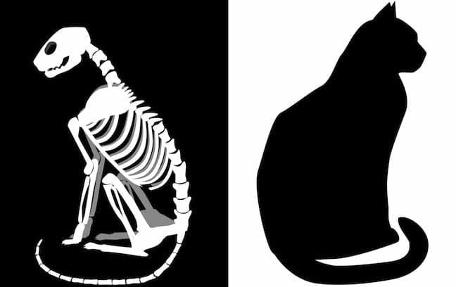 Oracle Cloud Infrastructure London Region Faces Unexplained Outage Amid Silence from Vendor