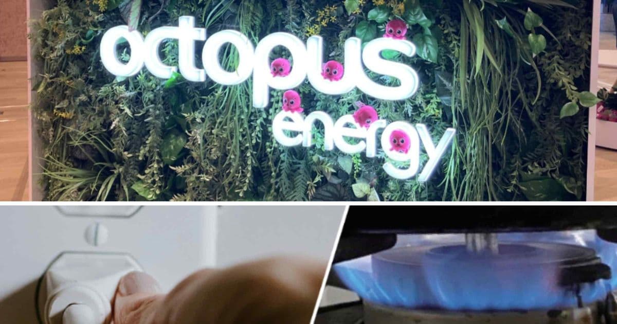 Octopus Energy Targets Japanese Expansion Through Gas Utility Partnerships