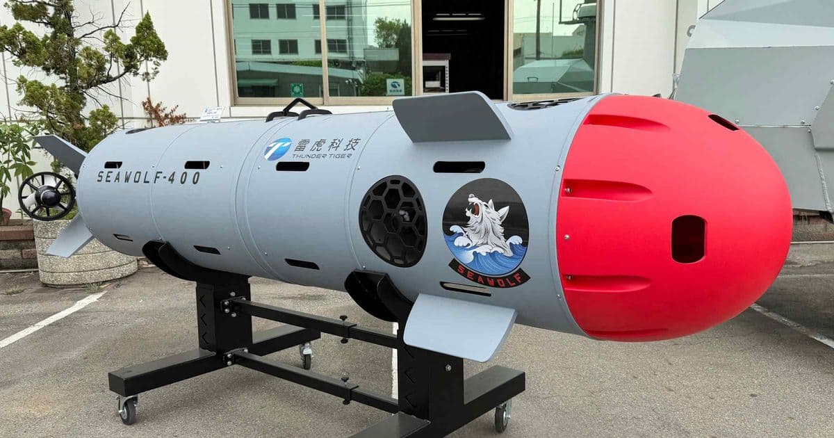 Taiwan's Drone Industry Stalls as Legislature Cuts Domestic Defense Procurement