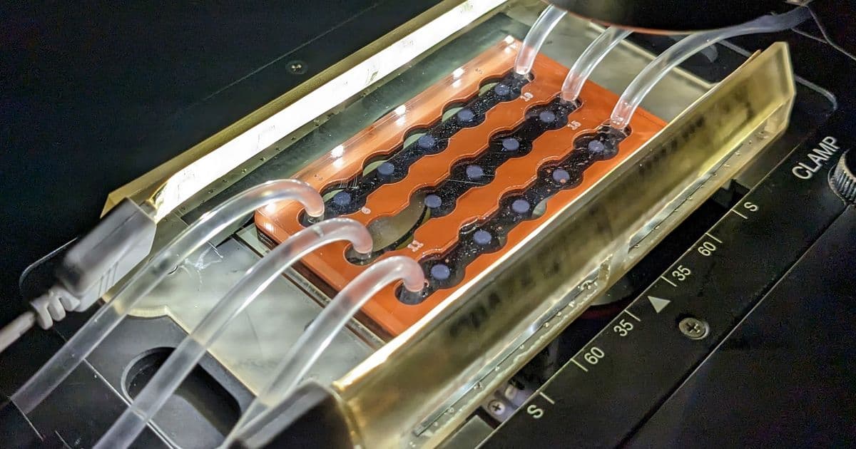 How Bacteria May Be Undermining the Ocean's Carbon Storage