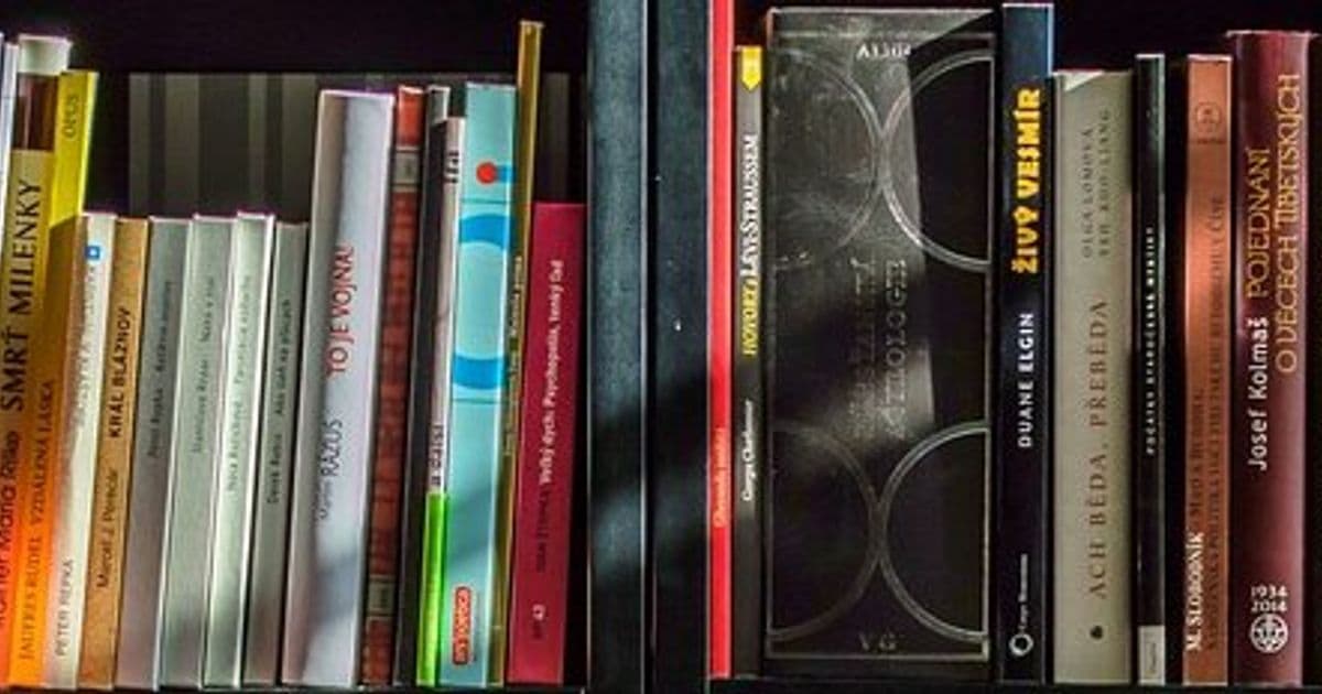 Meta's BitTorrent Fair Use Defense: A New Legal Battleground in AI Training