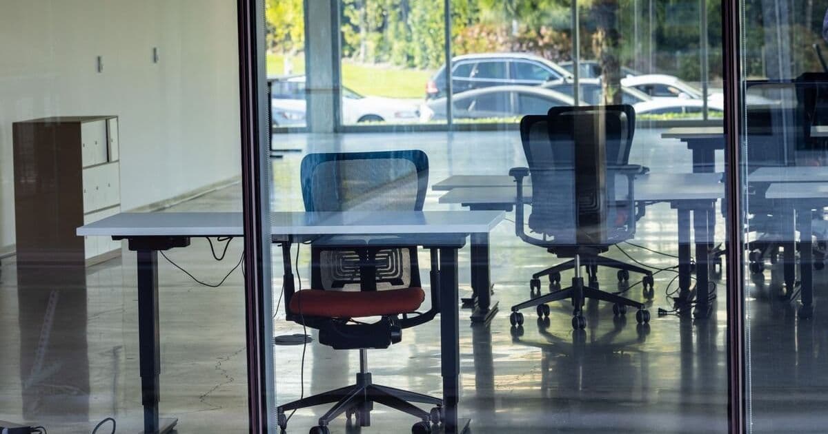 US Economy Shows Resilience Despite Weak Jobs Data, Experts Predict Continued Growth