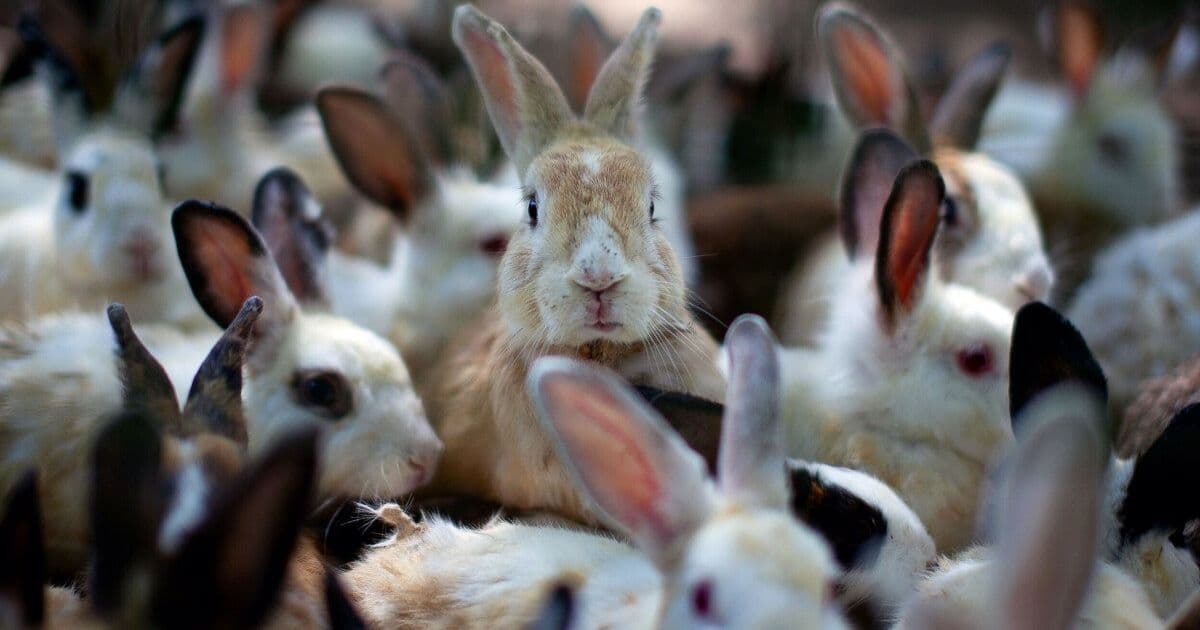 Welcome to the Vulnpocalypse: AI Security Tools Uncover Record-Breaking Number of Vulnerabilities
