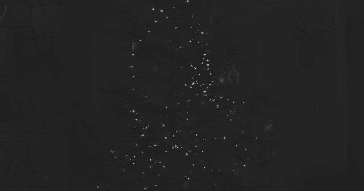 The Raw Truth: How Your Camera's Sensor Data Becomes a Photo