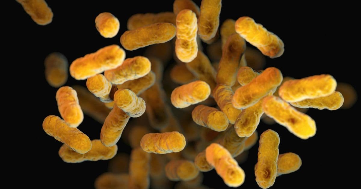 When Public Health Goes Offline: How Louisiana’s Silence Turned a Predictable Outbreak into a Data Governance Failure