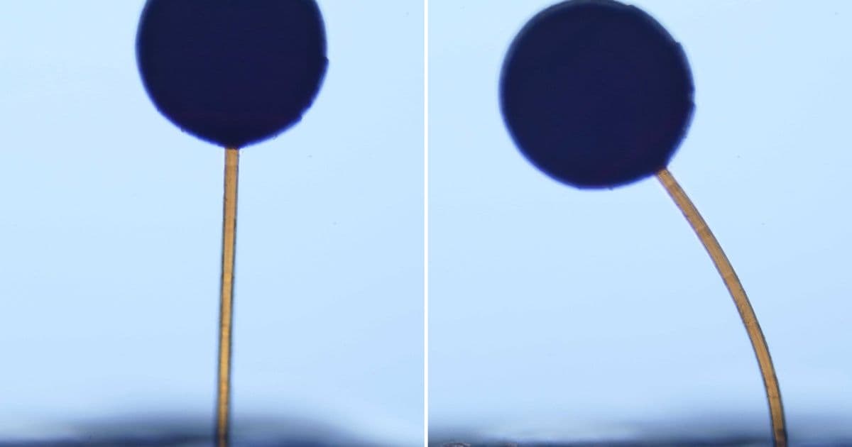 With a swipe of a magnet, microscopic “magno‑bots” perform complex maneuvers