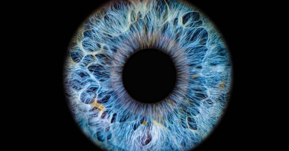 WorldCoin's latest pitch: Scan your eyeballs to prove AI agents represent you