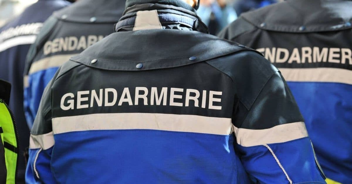 French Police Raid X Offices in Paris Amid Algorithmic Manipulation Probe