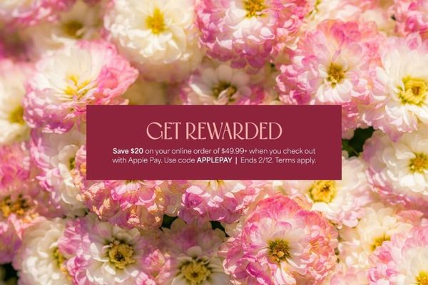 1-800-Flowers Valentine's Day Deal: $20 Off with Apple Pay