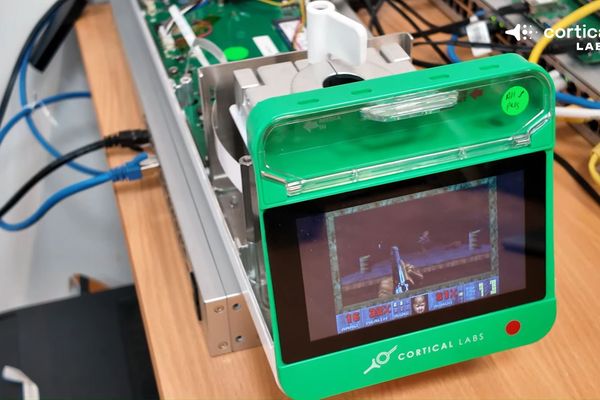 Living Human Neurons on Microchip Play Doom, Demonstrating Biological Computing Breakthrough