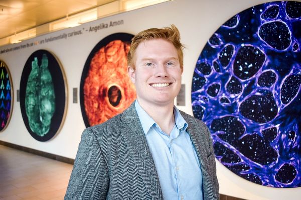 Decoding Cancer's Evolution: How AI and Machine Learning Are Transforming Tumor Treatment