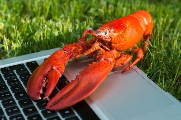 AI Agent Security Compliance Alert: ClawHub Skills Co-opting Agents for Cryptocurrency Mining