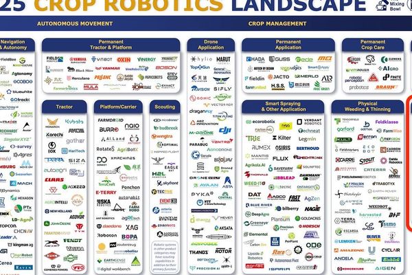 The Enduring Challenge of Automating Lettuce Harvesting