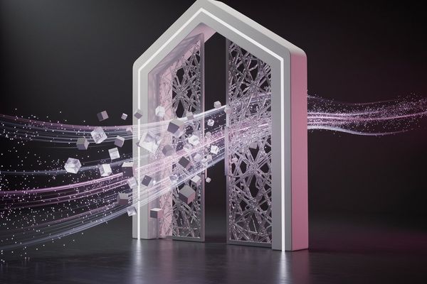 Reddit API Changes and Developer Access: Navigating the New Reality