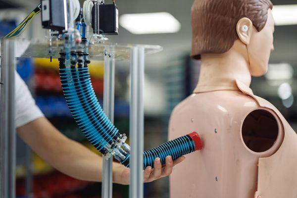 Neural-Inspired Control System Unlocks Adaptive Intelligence in Soft Robots