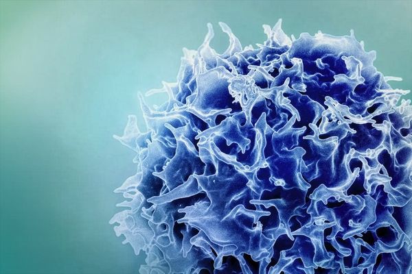 Immune-Remodeling mRNA Technology Generates Supercharged T Cells for Cancer Eradication