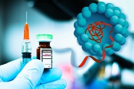 A syringe and a spherical lipid figure.