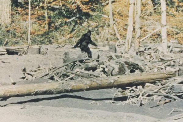 Bigfoot Believers and the Science of Conspiracy Thinking