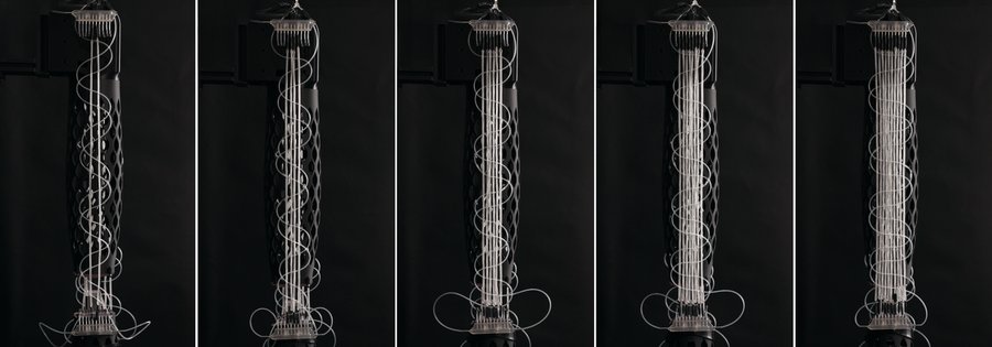 An image split into five sections featuring the evolution of a vertical, white fiber muscle mechanism, from two strands in the first panel to 10 strands in the last