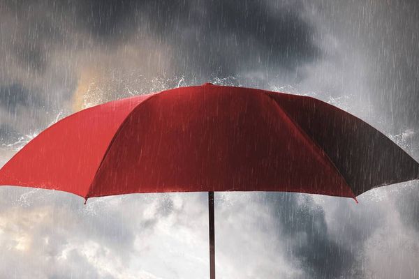 Insurance Chatbot Saves Agents 2.4 Seconds Per Search: A Cost-Benefit Analysis