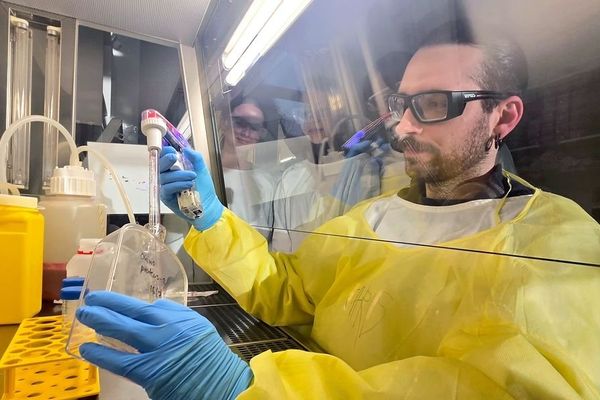 AI-Powered 'Evolution Machine' Accelerates Mammalian Cell Engineering for Vaccines and Therapeutics