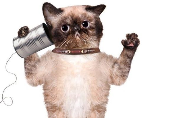 AI search atomizes our information, warns govt designer • The Register