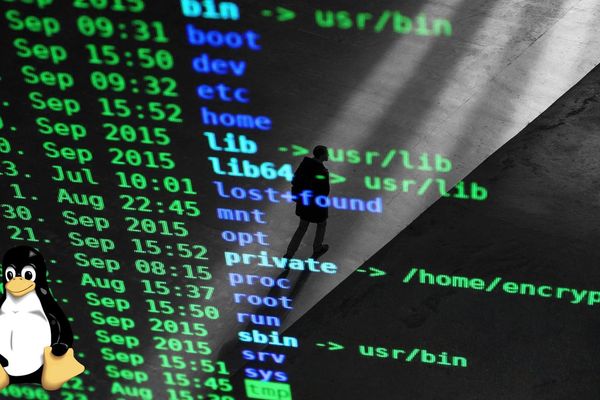 AMD VP's AI-Generated Python Driver: A New Tool for GPU Debugging or Just a Tech Demo?