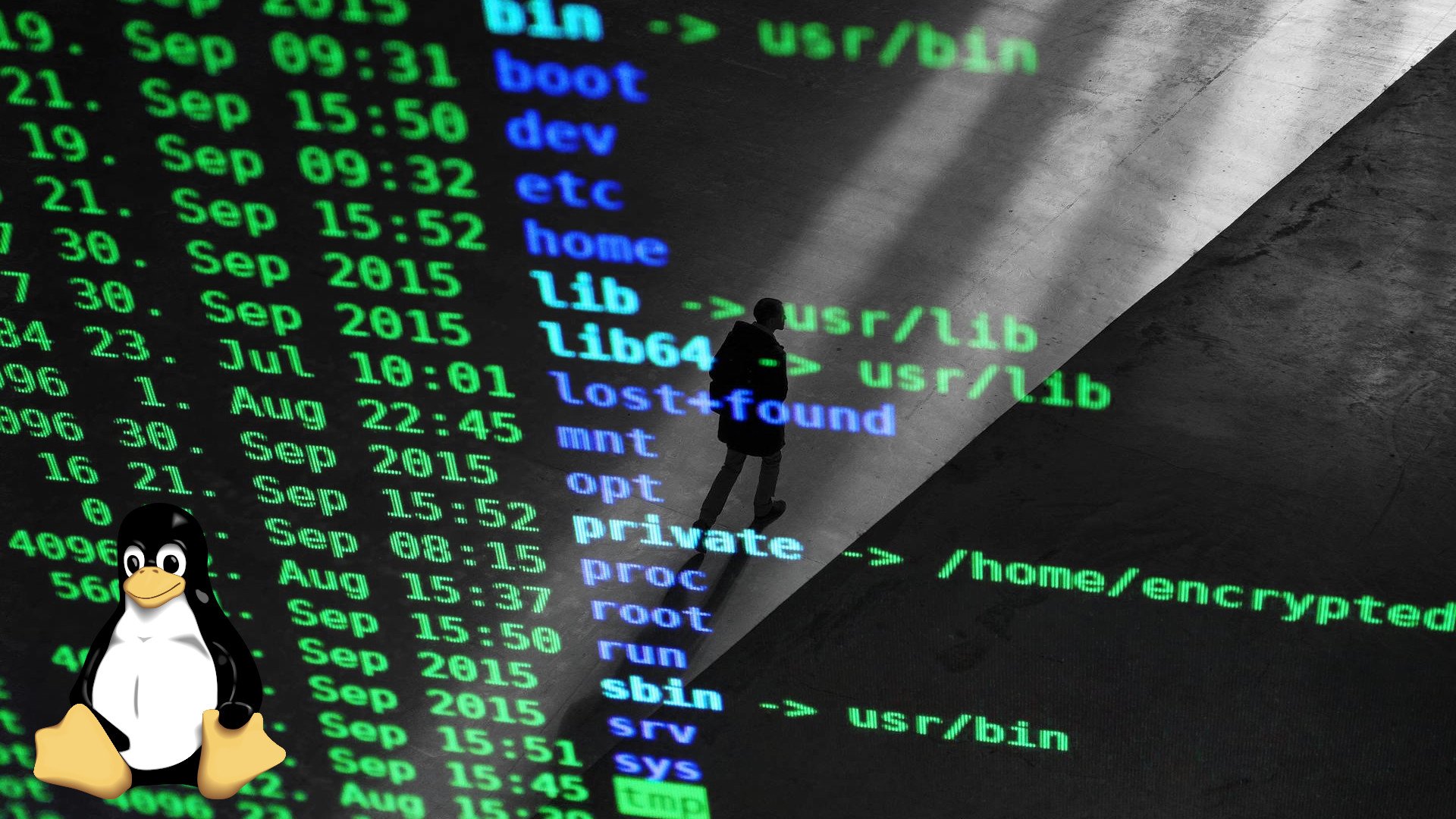 A screenshot of a Linux directory listing with a picture of Tux, the Linux mascot, in the corner; a person is walking in the reflection on the screen.