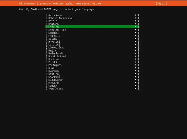 Ubuntu 26.04 server install