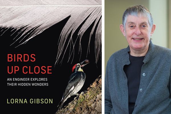 Birds Up Close Reveals Engineering Marvels in Avian Biology