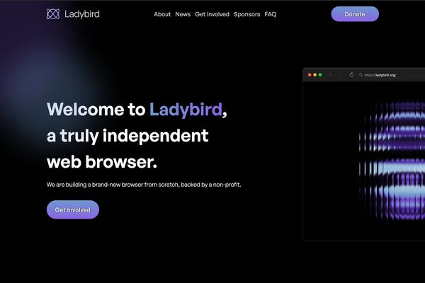 Ladybird Browser Halts Public Pull Requests Due to AI Code Security Concerns