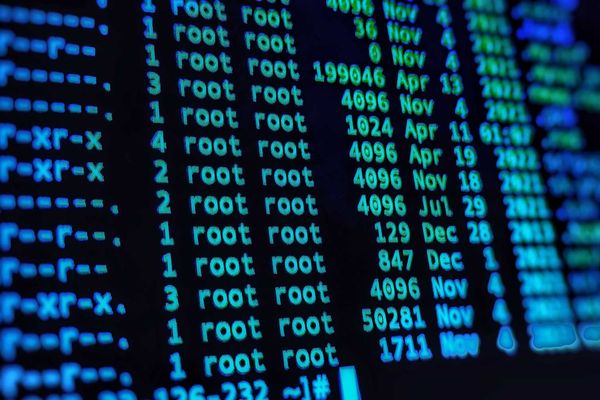Ancient telnet bug happily hands out root to attackers