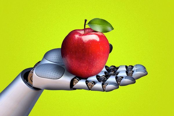 Anthropic, Google, and Microsoft Are Betting Big on AI-Powered Education Tools