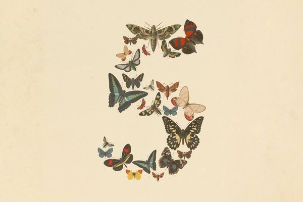 Anthropic opens Claude Fable 5 to general users, with Opus 4.8 quietly handling the risky questions