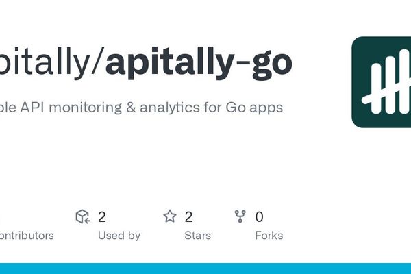 Apitally SDK for Go: Streamlined API Observability Lands for Popular Frameworks
