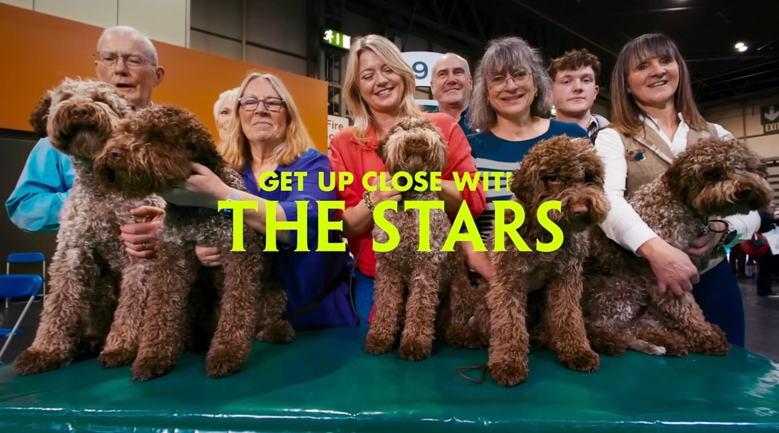 Apple shares trailer for new Top Dogs immersive 'doguseries' coming to Vision Pro - 9to5Mac